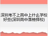 深圳考不上高中上什么学校好些(深圳高中落榜择校)
