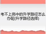 考不上高中的升学路径怎么办呢(升学路径选择)