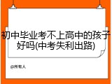 初中毕业考不上高中的孩子好吗(中考失利出路)
