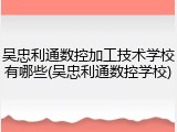 吴忠利通数控加工技术学校有哪些(吴忠利通数控学校)