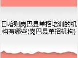 日喀则岗巴县单招培训的机构有哪些(岗巴县单招机构)