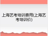 上海艺考培训费用(上海艺考培训价)