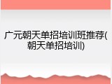 广元朝天单招培训班推荐(朝天单招培训)