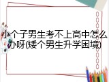 小个子男生考不上高中怎么办呀(矮个男生升学困境)