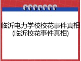 临沂电力学校校花事件真相(临沂校花事件真相)