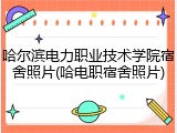 哈尔滨电力职业技术学院宿舍照片(哈电职宿舍照片)