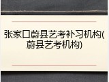 张家口蔚县艺考补习机构(蔚县艺考机构)