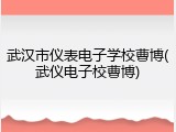 武汉市仪表电子学校曹博(武仪电子校曹博)