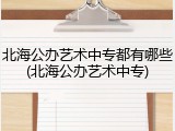 北海公办艺术中专都有哪些(北海公办艺术中专)