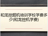 和龙挖掘机培训学校学费多少(和龙挖机学费)