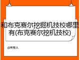 和布克赛尔挖掘机技校哪里有(布克赛尔挖机技校)