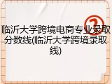 临沂大学跨境电商专业录取分数线(临沂大学跨境录取线)