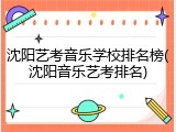 沈阳艺考音乐学校排名榜(沈阳音乐艺考排名)