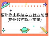 梧州蝶山数控专业就业前景(梧州数控就业前景)