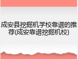 成安县挖掘机学校靠谱的推荐(成安靠谱挖掘机校)