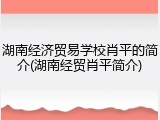 湖南经济贸易学校肖平的简介(湖南经贸肖平简介)