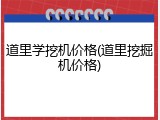 道里学挖机价格(道里挖掘机价格)