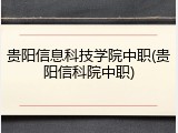 贵阳信息科技学院中职(贵阳信科院中职)