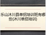 乐山沐川县单招培训班有哪些(沐川单招培训)
