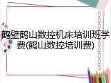 鹤壁鹤山数控机床培训班学费(鹤山数控培训费)