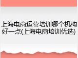 上海电商运营培训哪个机构好一点(上海电商培训优选)