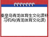 秦皇岛青龙体育生文化课补习机构(青龙体育文化课)