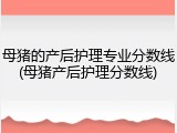 母猪的产后护理专业分数线(母猪产后护理分数线)