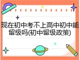 现在初中考不上高中初中能留级吗(初中留级政策)
