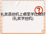 礼泉县挖机上哪里学比较好(礼泉学挖机)