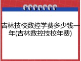 吉林技校数控学费多少钱一年(吉林数控技校年费)