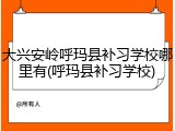 大兴安岭呼玛县补习学校哪里有(呼玛县补习学校)
