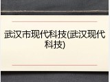 武汉市现代科技(武汉现代科技)