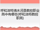 呼和浩特清水河县数控职业高中有哪些(呼和浩特数控职高)