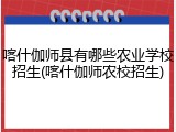 喀什伽师县有哪些农业学校招生(喀什伽师农校招生)