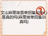 文山麻栗坡县单招集训中心是真的吗(麻栗坡单招集训真吗)