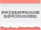 庐州卫生科技学校2020招生(庐州卫校2020招生)
