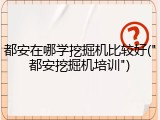 都安在哪学挖掘机比较好("都安挖掘机培训")