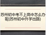 苏州初中考不上高中怎么办呢(苏州初中升学出路)