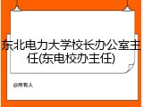 东北电力大学校长办公室主任(东电校办主任)