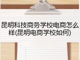 昆明科技商务学校电商怎么样(昆明电商学校如何)
