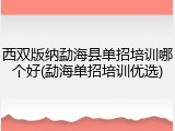西双版纳勐海县单招培训哪个好(勐海单招培训优选)