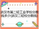 武汉市第二轻工业学校分数线多少(武汉二轻校分数线)