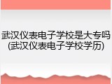 武汉仪表电子学校是大专吗(武汉仪表电子学校学历)