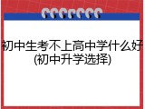 初中生考不上高中学什么好(初中升学选择)