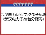 武汉电力职业学校包分配吗(武汉电力职校包分配吗)