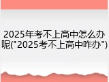 2025年考不上高中怎么办呢("2025考不上高中咋办")