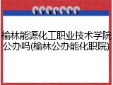 榆林能源化工职业技术学院公办吗(榆林公办能化职院)