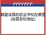 鹤壁浚县的农业学校在哪里(浚县农校地址)