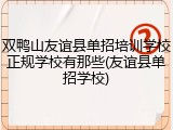 双鸭山友谊县单招培训学校正规学校有那些(友谊县单招学校)