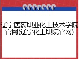 辽宁医药职业化工技术学院官网(辽宁化工职院官网)